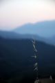 2010 07 08 jeanmarcperfetti.com 009.JPG